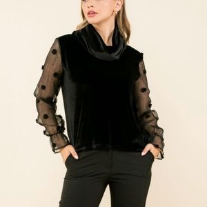 NWT thml velvet turtleneck with mesh sleeves